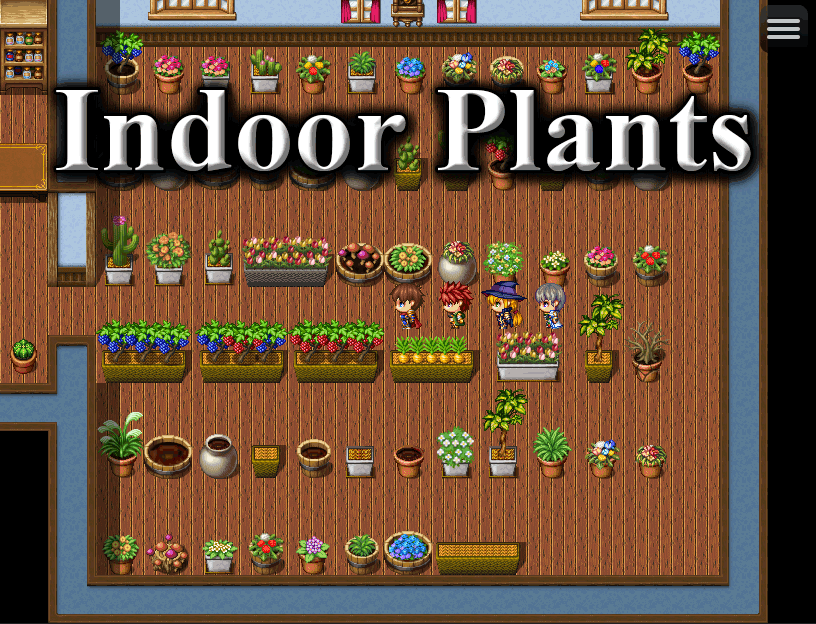 Indoor Plants